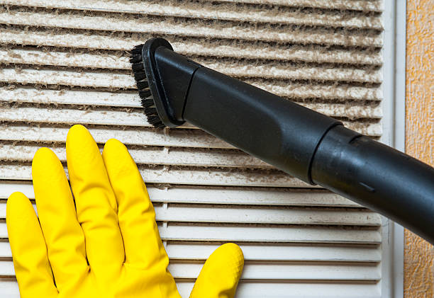 Best Home Air Vent Cleaning  in Brownfield, TX